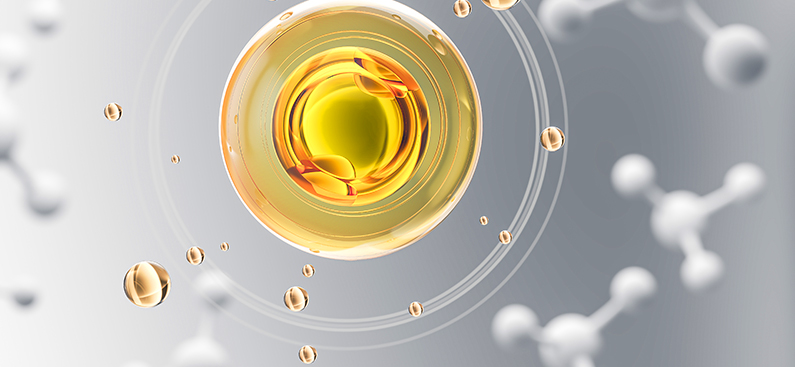 迎接来到公海,迎接来到赌船