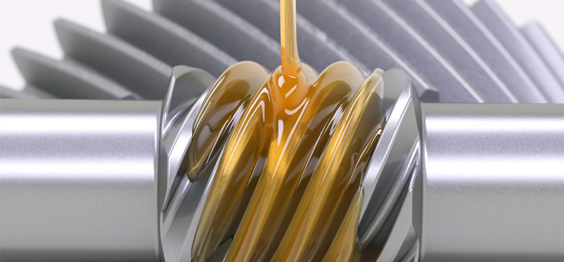 迎接来到公海,迎接来到赌船