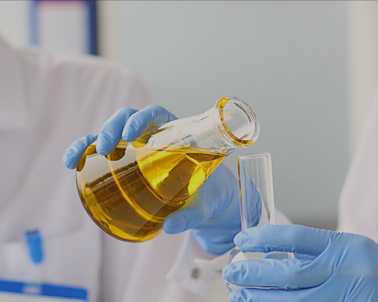 公海赌船官网简介